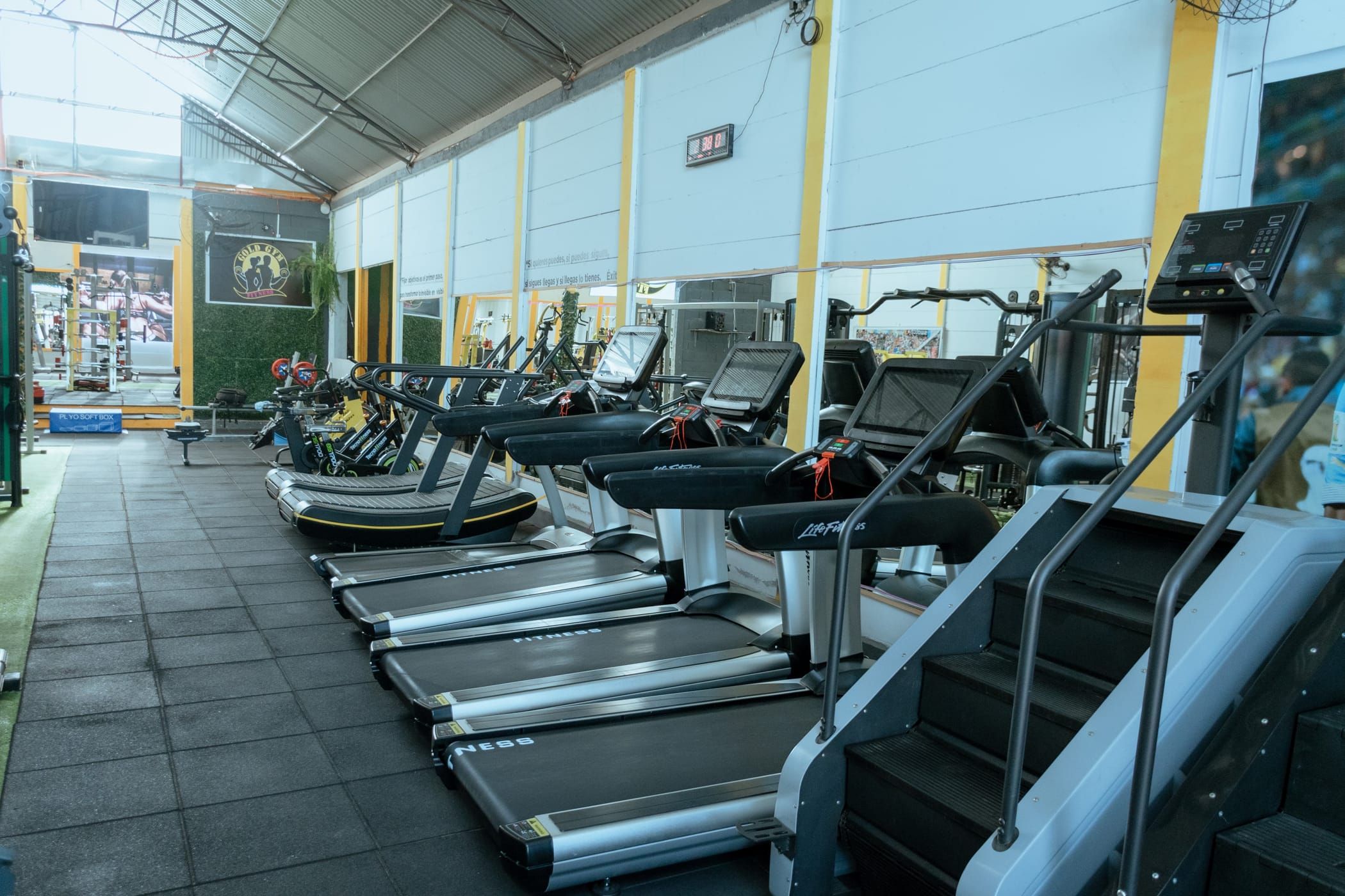Fila de cintas de correr y una escaladora a lo largo del salón de cardio